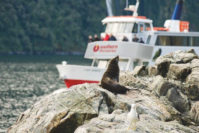 Milford Sound Coach & Extended Cruise from Queenstown - The extended Milford Sound cruise (up to 2h15): decks, cabins, and waterfall time