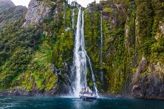 Milford Sound Cruise from Queenstown or Te Anau - How the naturalist narration changes what you see