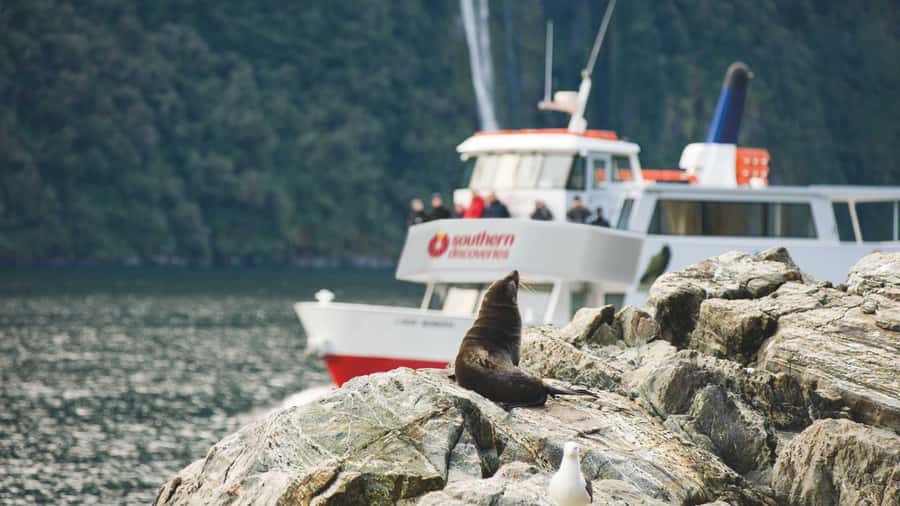 Milford Sound: Discover More on Our Longest Cruise - Key things worth knowing before you go