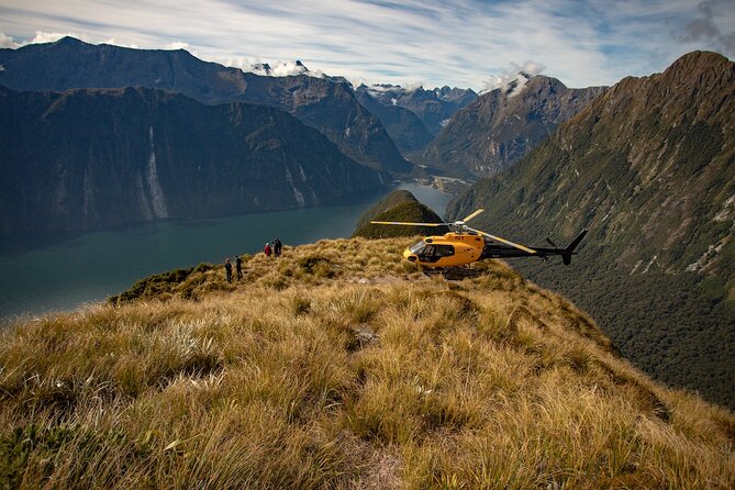 Milford Sound Earnslaw Burn Helicopter Tour from Queenstown - Key things you’ll notice on this Milford Sound + Earnslaw Burn helicopter