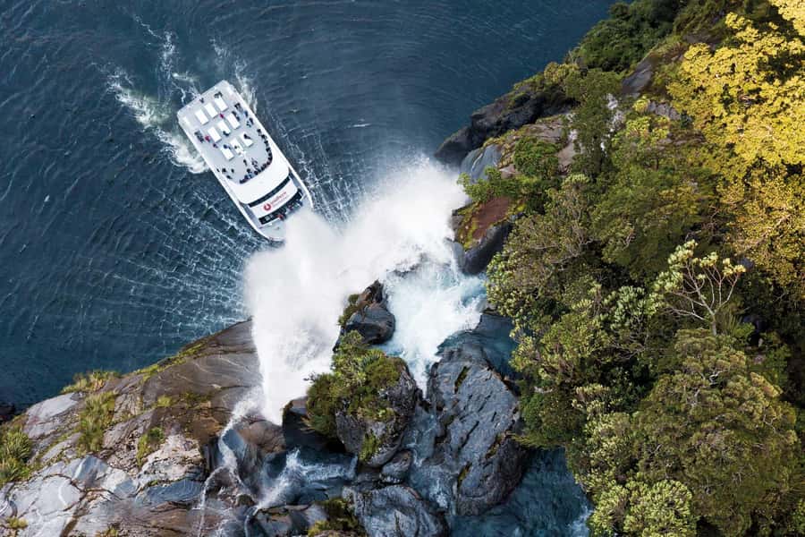 Milford Sound: Nature Cruise - Grand Views & Optional Lunch - Premium catamaran comfort on a Milford Sound cruise