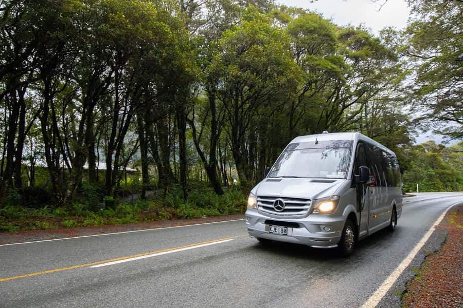 Milford Sound: Premium Small Group Tour from Queenstown - Lunch and what to pack for a day this long