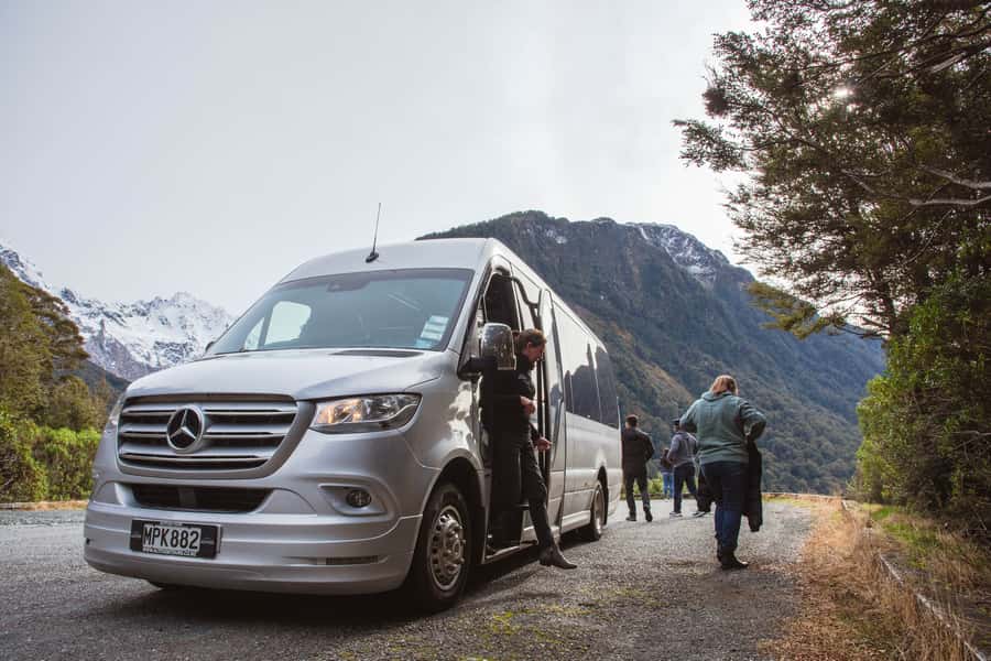 Milford Sound: Premium Small Group Tour from Queenstown - Who this Milford Sound tour suits best
