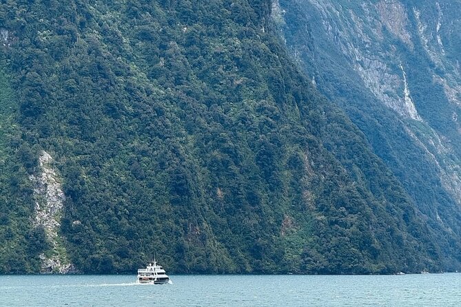 Milford Sound Private Day Trip from Queenstown via Te Anau - Key Points You Should Care About