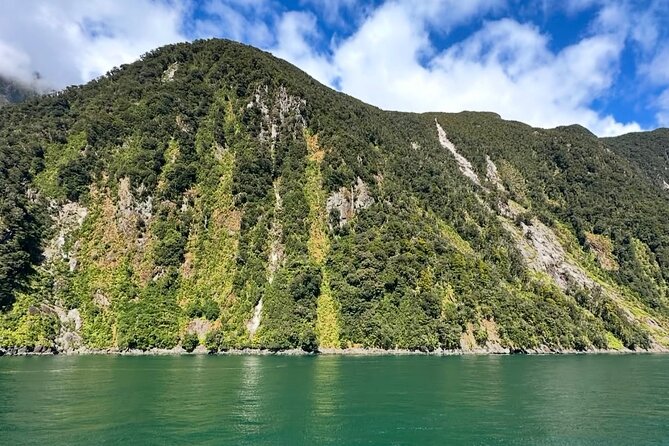Milford Sound Private Day Trip from Queenstown via Te Anau - Homer Tunnel: The Moment the Route Turns Dramatic