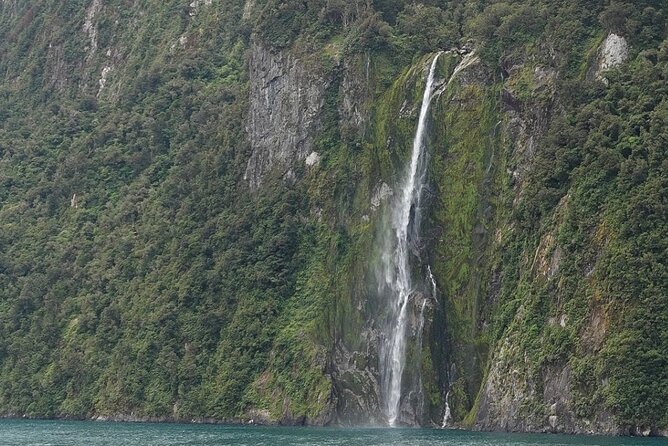 Milford Sound Private Day Trip from Queenstown via Te Anau - The Optional Milford Sound Cruise (NZ$170): Worth It or Not?
