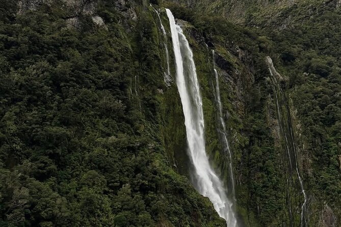 Milford Sound Private Day Trip from Queenstown via Te Anau - Guide and Driver: Where the Day Usually Makes or Breaks
