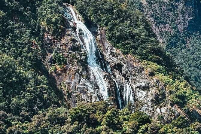Milford Sound Private Day Trip from Queenstown via Te Anau - Food, Comfort, and a 13-Hour Schedule You Should Plan For
