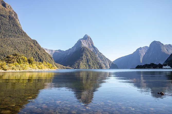 Milford Sound Small Group Tour from Queenstown with Scenic Flight - Queenstown Departure: Small-Group Comfort in a 16-Seat Mercedes