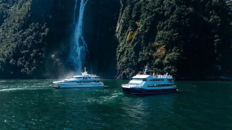 Milford Sound: Waterfalls, Wildlife, and Rainforest Cruise - Arriving at Pure Milford: where your cruise really starts