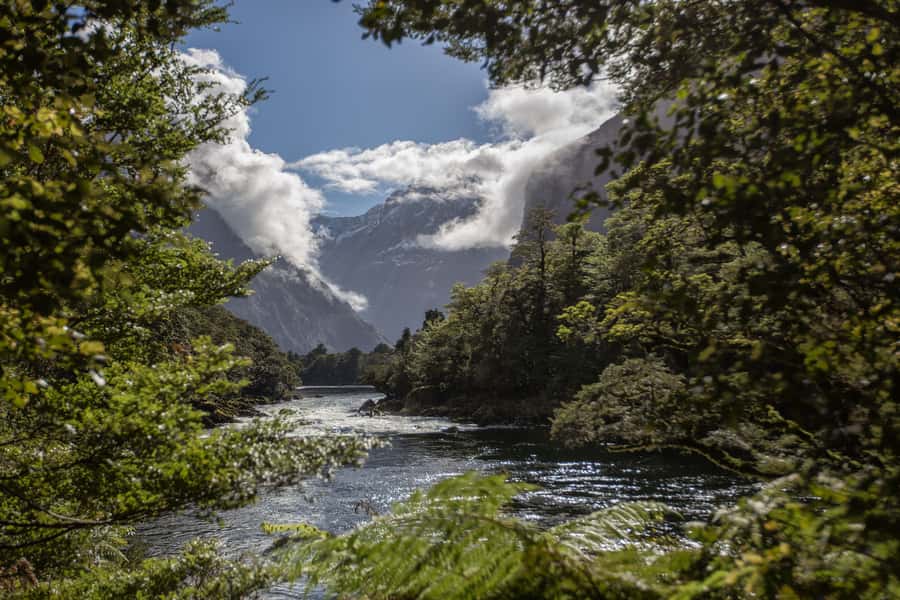 Milford Track: Full Day Guided Hike and Nature Cruise - Where You Start: Mitre Peak Cruises and an Early Check-In
