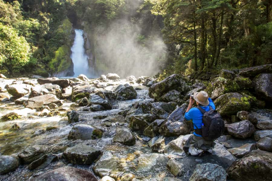 Milford Track: Full Day Guided Hike and Nature Cruise - Who This Day Suits Best (and Who Should Skip)