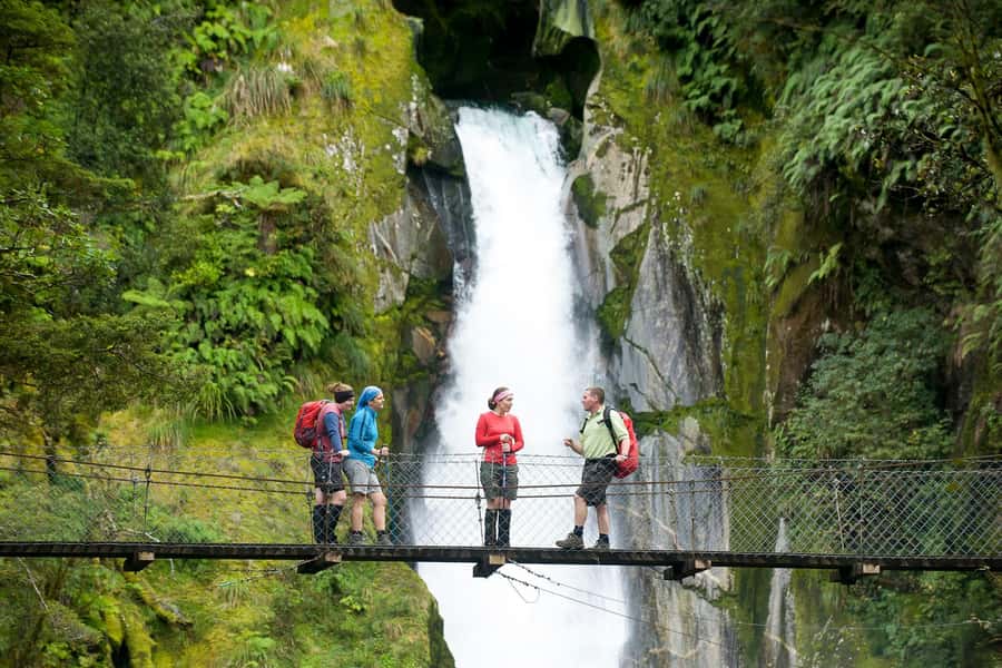 Milford Track: Full Day Guided Hike and Nature Cruise - Parking and Getting In: Paid Lots vs the Free Walk-In