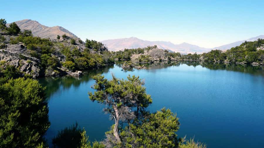 Mou Waho Island: 3-Hour Cruise and Guided Nature Walk - Wildlife spotting on a predator-free reserve