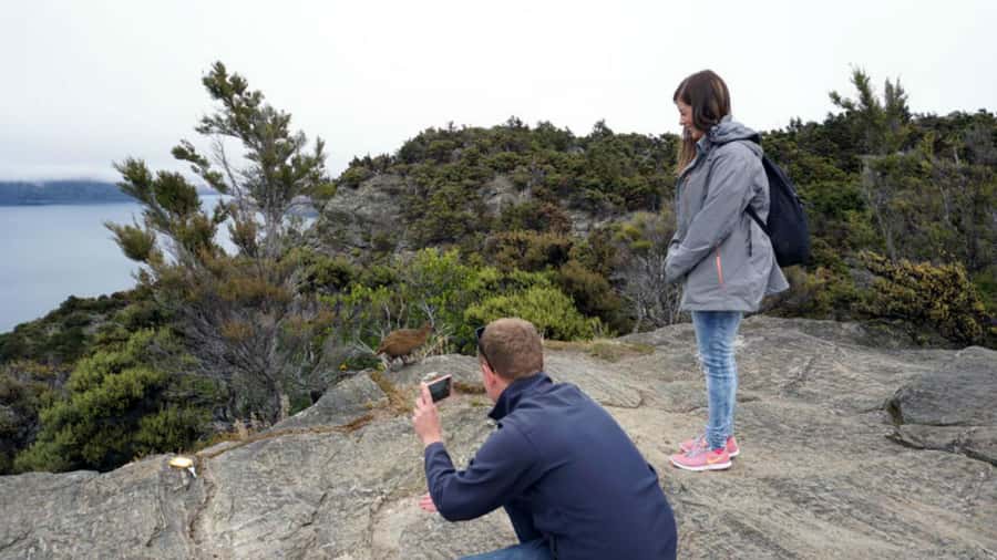 Mou Waho Island: 3-Hour Cruise and Guided Nature Walk - Guides: how the best part of this tour feels personal