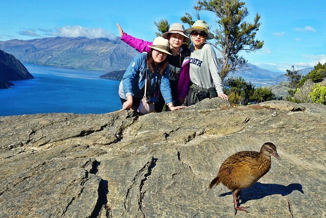 Mou Waho Island Cruise & Self-Guided Nature Walk - Ruby Island and the Treble Cone Ski Field: Views You Get Only From Water