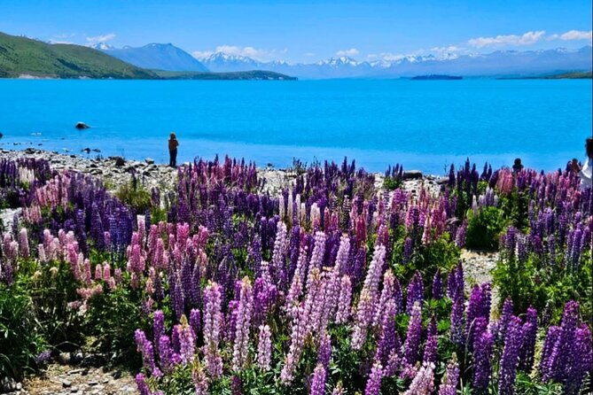 Mt. Cook Private Day Trip From Queenstown with Lake Tekapo - Lindis Pass: Tussock Hills, Rugged Terrain, and the Sunrise/Sunset Mood