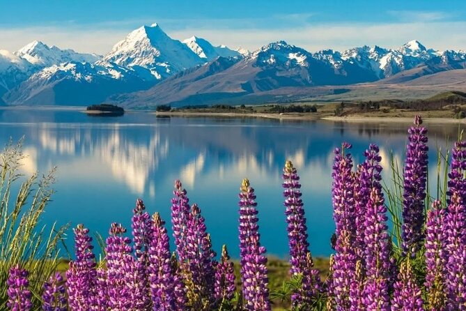 Mt. Cook Private Day Trip From Queenstown with Lake Tekapo - 7:00 AM Departure: The Dawn Game Plan for Aoraki/Mount Cook
