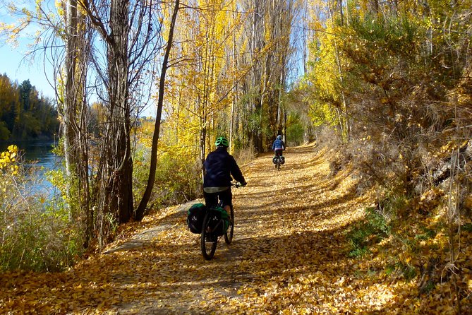 Otago Central Rail Trail One Day Wonder Cycle tour - Add Ophir if you want a bit more history in your pedals