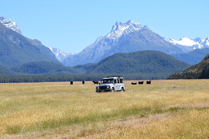 Paradise Valley Full Day Tour - The shearing woolshed: rural work you can actually picture