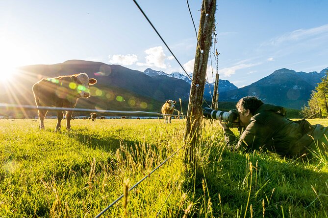 Photography Tour from Queenstown to Glenorchy - 1/2 Day - Teaching you how to frame the picture (not just click the shutter)