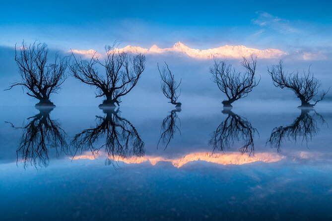 Photography Tour from Queenstown to Glenorchy - 1/2 Day - Tripod on request and why it changes your results