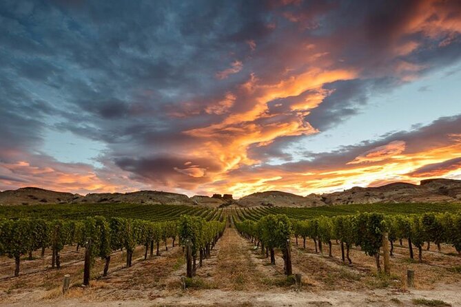 Private Central Otago Wine tasting Tour with Gourmet Lunch. - Cromwell gourmet lunch: where the day slows down