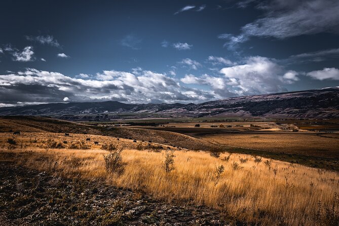 Private Central Otago Wine tasting Tour with Gourmet Lunch. - Price and value: what $462.33 per person buys you