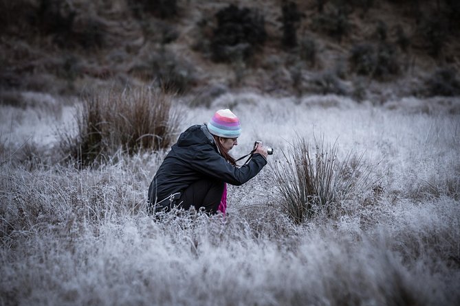 Private Half Day Photography Tour of Queenstown | Skippers | Glenorchy - Skippers Canyon for dramatic cuts and viewpoint variety