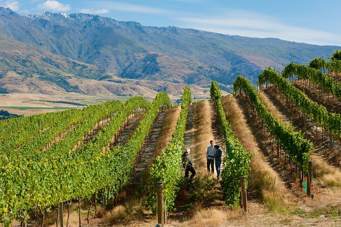 Private Queenstown Wine Tour All-Inclusive Tour - Getting around without the driver dilemma: pickup, comfort, and timing