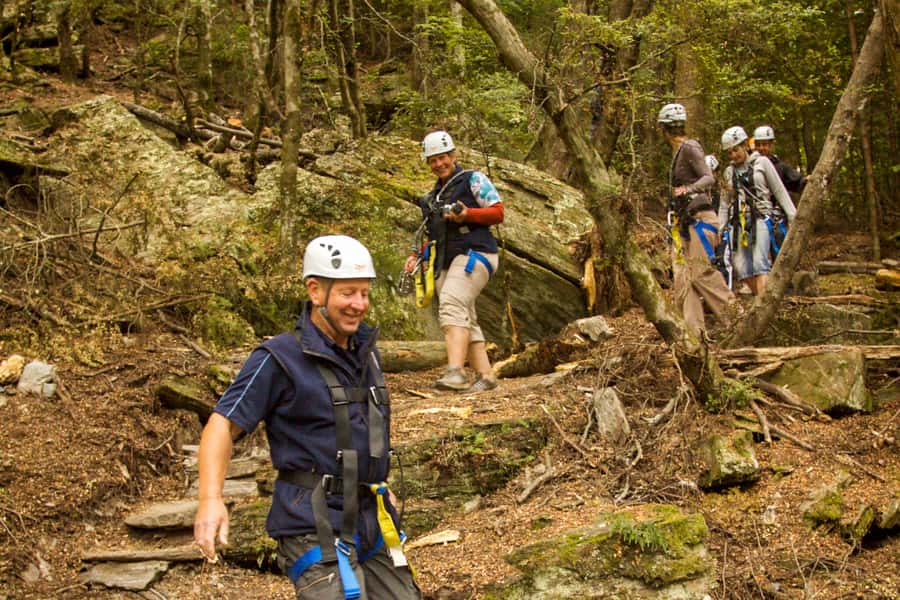 Queenstown: 3-Hour Zipline Adventure with 6-Lines - Key Things You’ll Care About