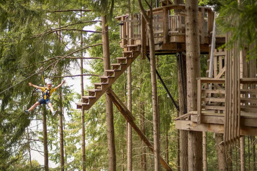 Queenstown: 3-Hour Zipline Adventure with 6-Lines - Six Tree-to-Tree Ziplines That Escalate the Adrenaline
