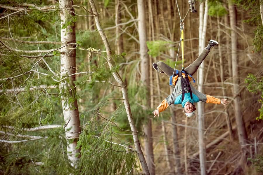 Queenstown: 3-Hour Zipline Adventure with 6-Lines - The 20-Minute Downhill Walk Through Native Beech Forest