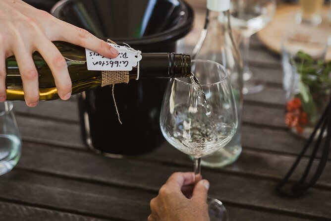 Queenstown: Afternoon Wine & Beer Tour with Platters - Choosing wine or beer at every stop: a practical perk for couples
