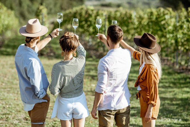 Queenstown Afternoon Wine Tour - Peregrine | Kinross | Amisfield - Key points before you go