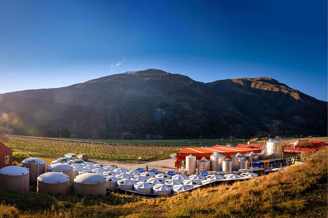 Queenstown Afternoon Wine Tour - Peregrine | Kinross | Amisfield - What tasting like a pro actually looks like