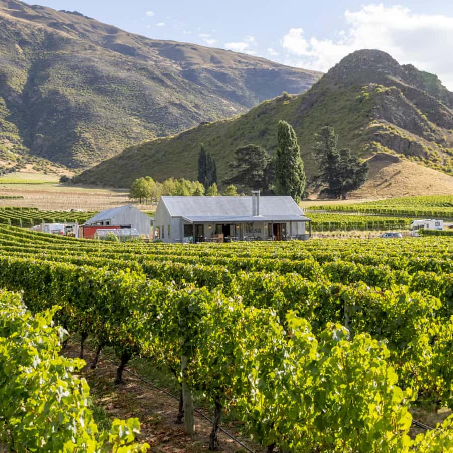 Queenstown, Arrowtown, Gibbston: Flexible Wine Hopper Tours - Key things that make this Wine Hopper work