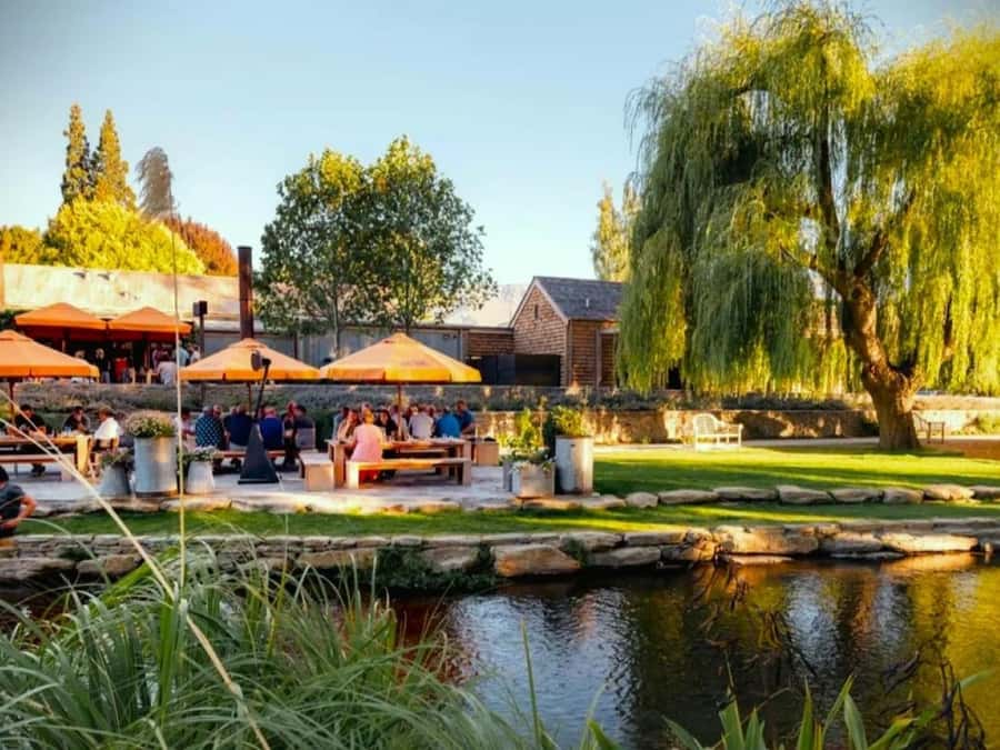 Queenstown, Arrowtown, Gibbston: Flexible Wine Hopper Tours - The Church Tasting Room: Outdoor Seating With a Calm Pace