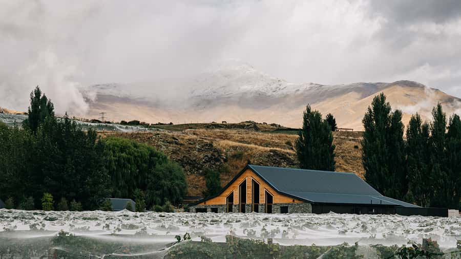Queenstown: Classic Central Otago Wine Tasting Experience - A 40-minute Queenstown wine break at Kinross
