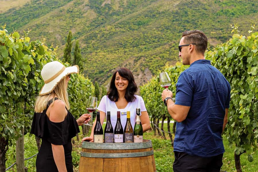 Queenstown: Classic Wine Tour - Gibbston wine region: why this stop matters for Pinot Noir fans