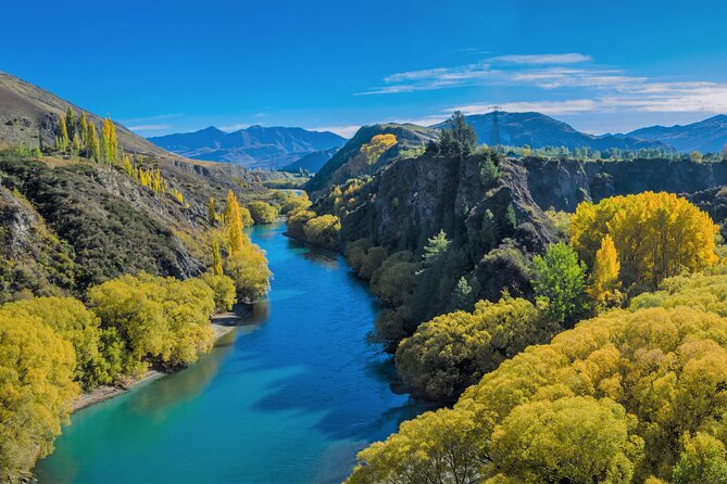 Queenstown Classic Wine Tour: 3 Winery Visits, Cave Tour & Cheese - Price and Value: Is $148.32 a Fair Deal?
