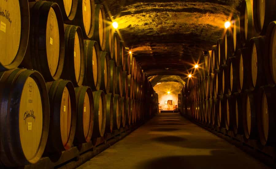 Queenstown: Classic Wine Tour - Your wine guide: the difference between a tour and a show