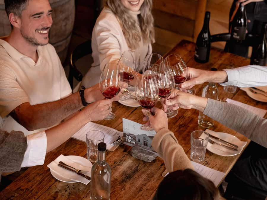 Queenstown: Classic Wine Tour - Who should choose this Classic Wine Tour?