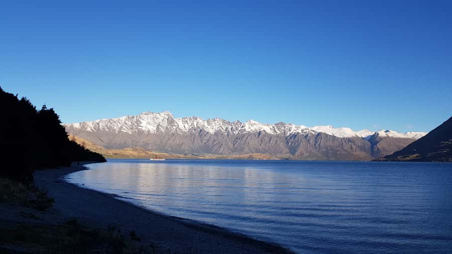 Queenstown: Craft Beer Brewery Tour with Lunch - What If You Don’t Love Craft Beer? You Still Have Plenty to Order