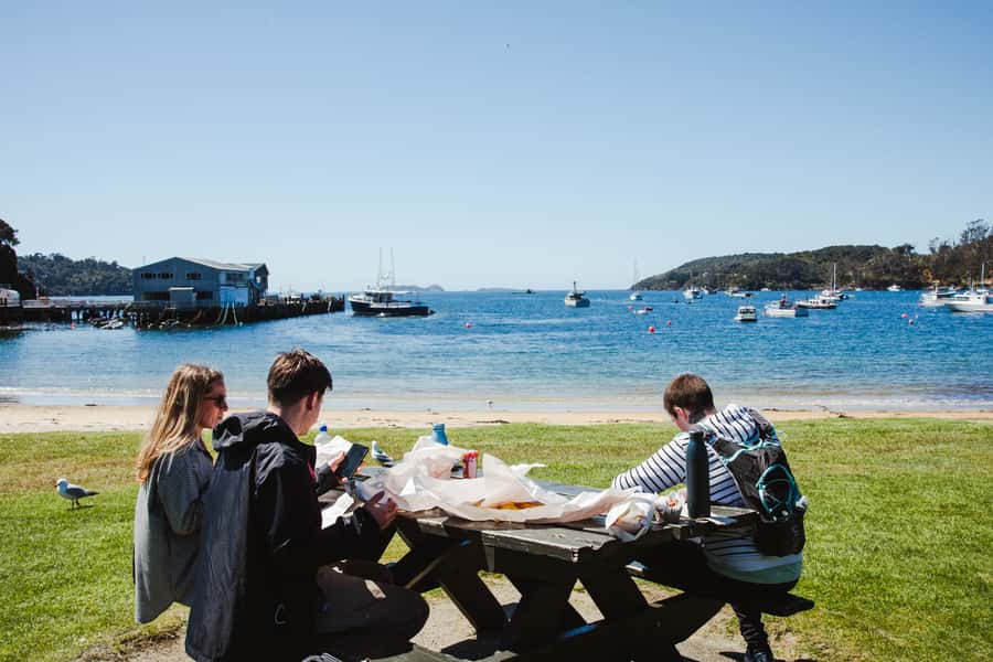 Queenstown: Day Trip to Stewart Island via Scenic Flight - Wildlife and reality checks: what to expect on an island day