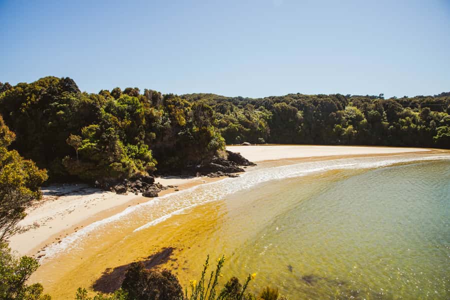 Queenstown: Day Trip to Stewart Island via Scenic Flight - Rakiura National Park: Hiking and birdwatching your way
