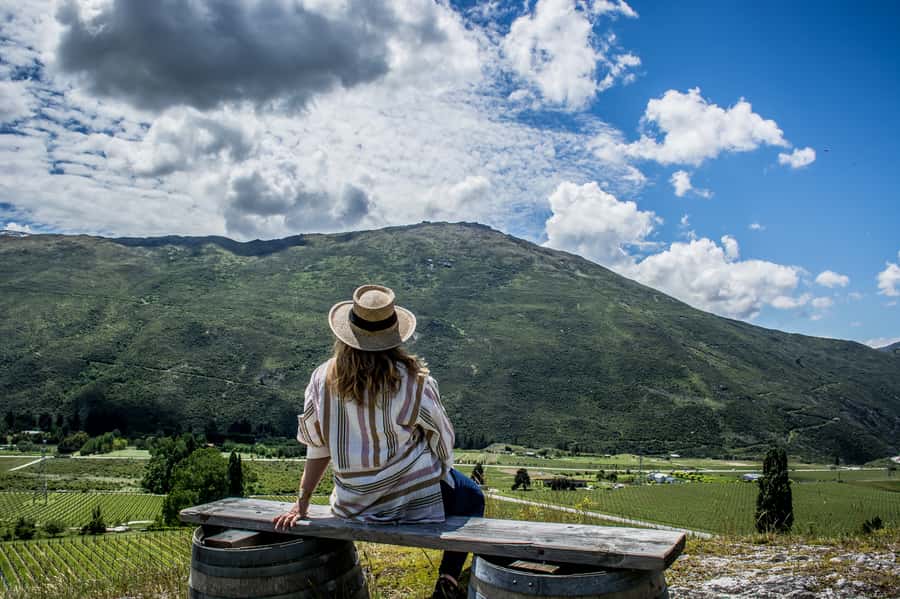 Queenstown & Gibbston Valley: Hop-On Hop-Off Wine Tours - The Hop-On Hop-Off Timetable: How Your Day Gets Built