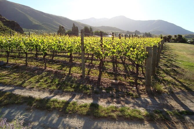 Queenstown Gin and Whiskey tours - Extras you might want to know about (before you pick a date)