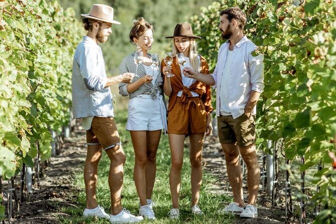 Queenstown Gin, Wine & Beer Tour | Adults Only - The Real Value Behind the $166.93 Price