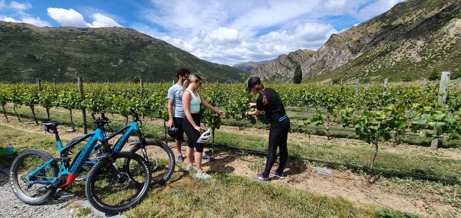 Queenstown: Guided E-Bike Tour with Winery Visits & Tastings - Key highlights that make this Queenstown day work